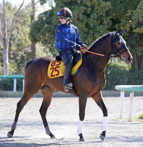 【福島牝馬S】重賞未勝利馬が前日単勝人気ワンツー　1番人気は重賞も初挑戦