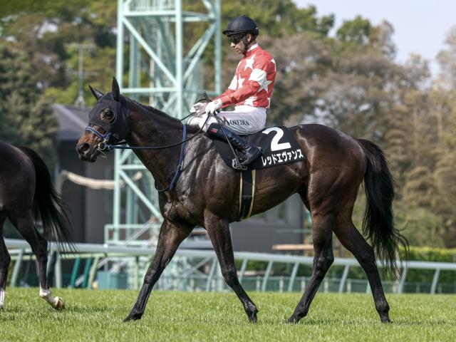 【袖ケ浦特別レース後コメント】レッドエヴァンス J.モレイラ騎手ら