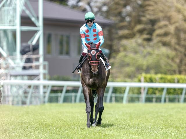 【3歳1勝クラス中山6Rレース後コメント】ノビリシマビジョン横山武史騎手ら