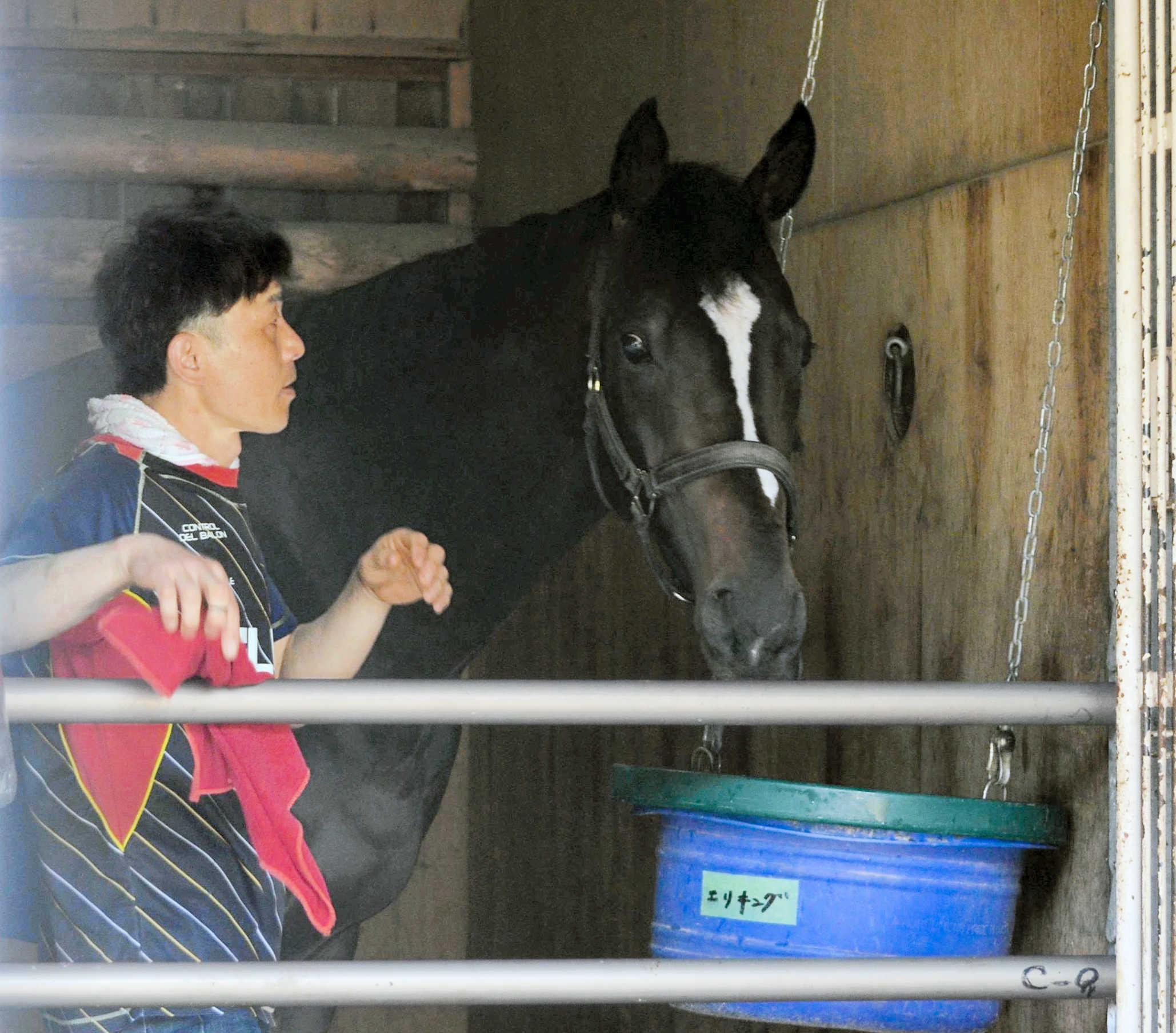 【皐月賞】エリキング　骨折で５カ月の休み明けも「あとは実戦勘だけ」「今回は一番仕上げていると思う」