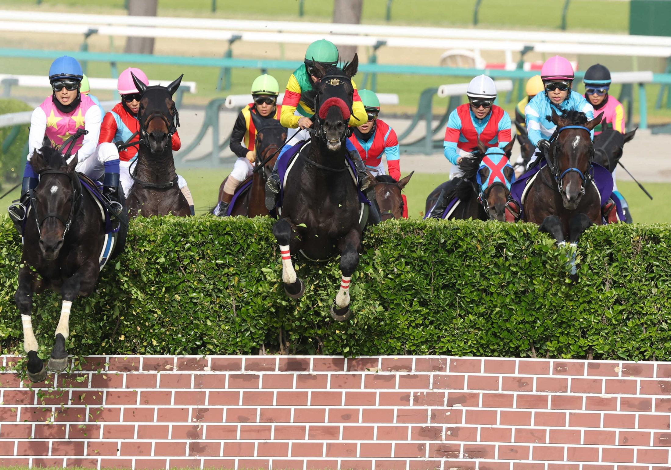 【中山ＧＪ】エコロデュエルが春の障害王！　１９年目３６歳・草野感涙、人馬でＪＧ１初制覇「何を叫んだのか分かりません」