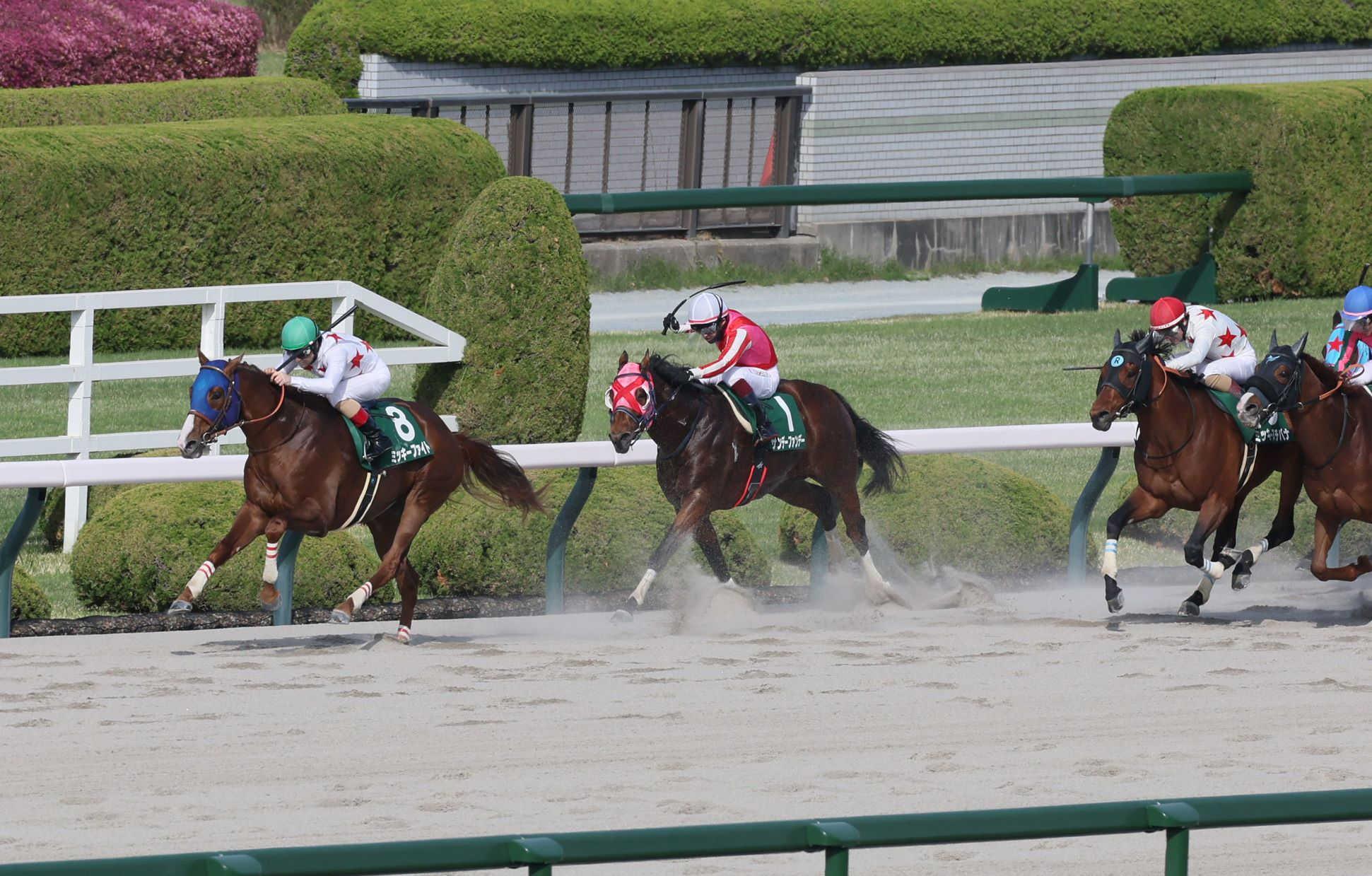 【アンタレスＳ】ミッキーファイト完勝！帝王賞へ視界良好　「タフな馬です」初コンビのルメールうなった
