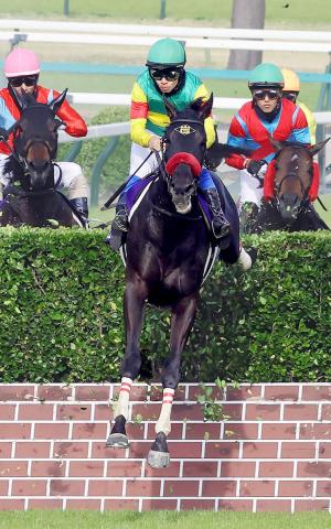 【中山GJ】「ずっと勝ちたかった」19年目の苦労人が障害G1初制覇で号泣　イメージ通りの騎乗で8馬身差圧勝