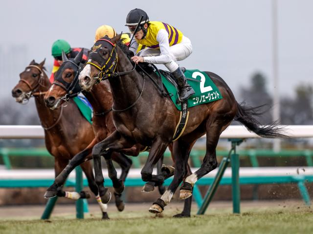 皐月賞は内枠勢が穴かも ニシノエージェントやジュタに注