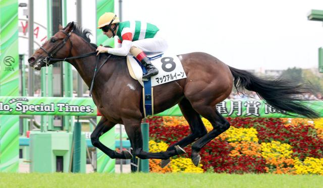 皐月賞当日の中山芝コースは超高速馬場　ルメール騎手「少し内が柔らかいけどいい馬場。風は影響ない」