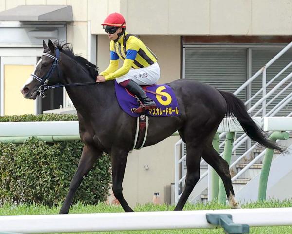 【皐月賞】「能力だけでここまできた」マスカレードボール3着に横山武史騎手「順調ならダービーが楽しみ」