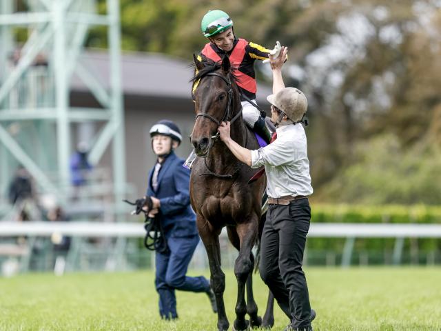 ステイゴールド忘れ形見1400万円 | 競馬ニュース - netkeiba