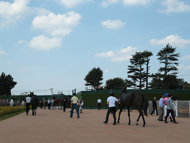 4月20日の出来事一覧/福島・中山・阪神