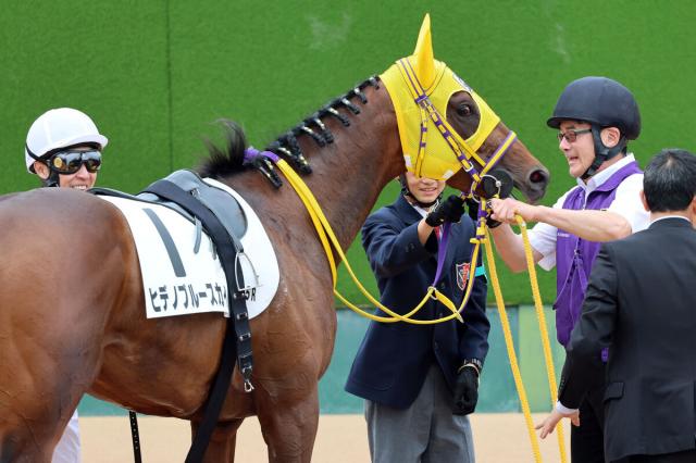 【中山5R・3歳1勝クラス】ヒデノブルースカイの厩務員はエアグルーヴなどを担当　定年控え武豊騎手が騎乗
