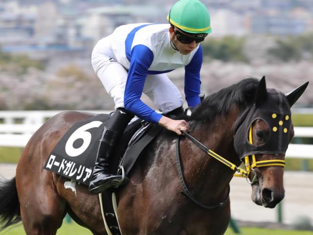 【青葉賞】フィエールマン産駒の重賞初制覇へ ロードガレリアが参戦