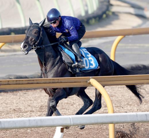 【読売マイラーズC】昨年3着のニホンピロキーフが舞台替わりで巻き返す　陣営「京都に替わるのは間違いなくプラス」