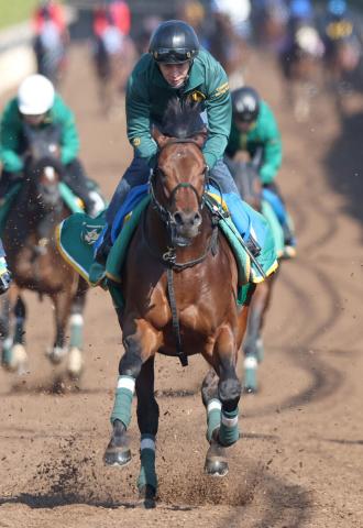 【読売マイラーズC・戸田の特注馬】開幕週でセオが粘り腰　得意の京都コースで重賞初Vへ