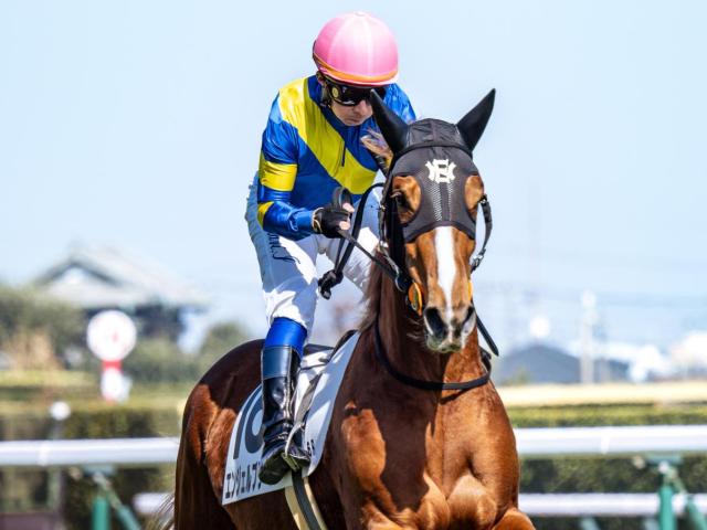 【フローラS】母は桜花賞馬のレーヌミノル エンジェルブリーズが史上初のキャリア2戦目Vなるか