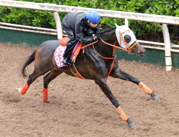 【フローラS】2連勝中のルクスジニアは坂路でシャープな動き　平田調教師「距離がもたないことはない」