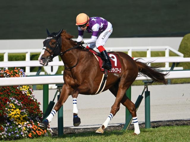 【有力馬動向】阪神大賞典V後も好調サンライズアース 池添を背に栗東坂路で力強い動き/馬三郎のつぶやき