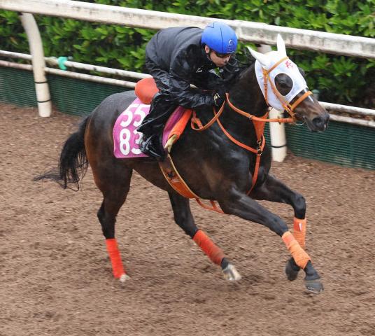 【フローラS】ルクスジニア　坂路1F12秒0　平田師「うまく逃がしてくれたらいいけど…」
