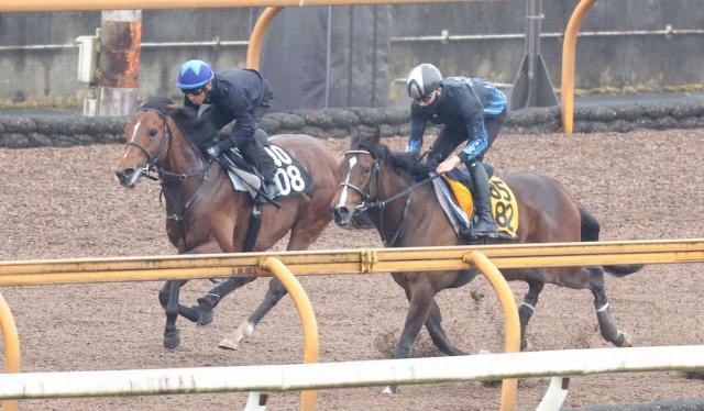 横山典弘を背にCWコースをウェイトゥゴー（右）との2頭併せで追い切るマテンロウバローズ