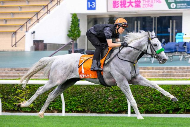 【香港・チャンピオンM】ガイアフォース　洋芝合っている!杉山晴師「いい競馬をしてくれるはず」
