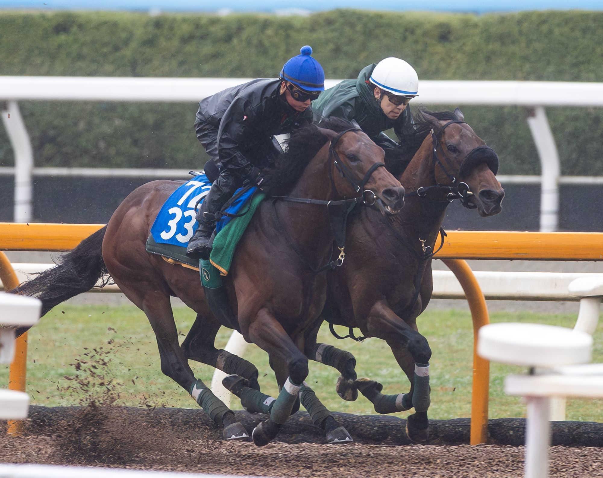 【マイラーズＣ】セオ　満点走"悲願"重賞初勝利へ　上村師は納得の表情「充実した状態で出られる」