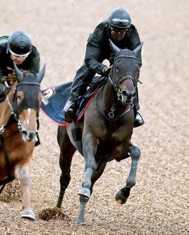 【天皇賞・春1週前】昨年菊花賞2着馬が自己ベスト3秒1更新!陣営「やはり能力高い」