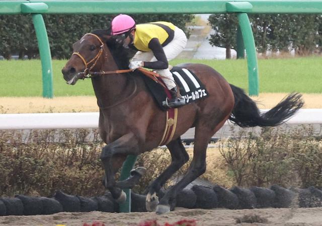 【ケンタッキーダービー】ルクソールカフェが決戦の地チャーチルダウンズ到着「適応能力が高い」