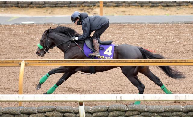 【天皇賞・春1週前】ジャスティンパレスがCWコースでシャープな動き　鮫島克駿騎手「いい調教ができました」