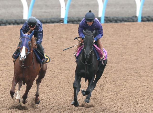 【フローラS】菊花賞にクラシック登録のブラックルビー　田中博調教師「距離はいくら延びても」
