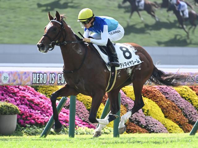 【POG】アドマイヤズームが栗東CWで長めから追い切り　始動戦は2着もダメージなし/馬三郎のつぶやき