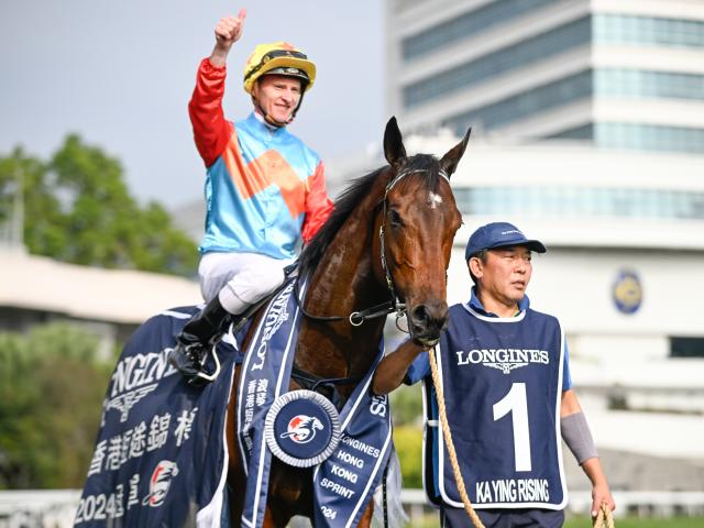 菊花賞馬ナリタトップロード急死 | 競馬ニュース - netkeiba