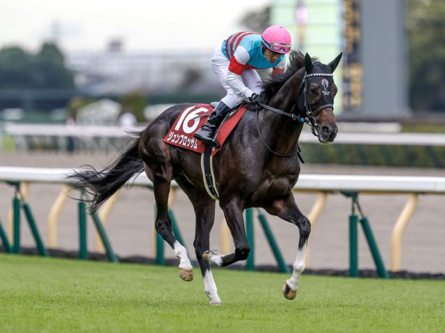 【マイラーズC出走馬・騎手確定】ジュンブロッサム＆武豊騎手、セオ＆岩田望来騎手など10頭