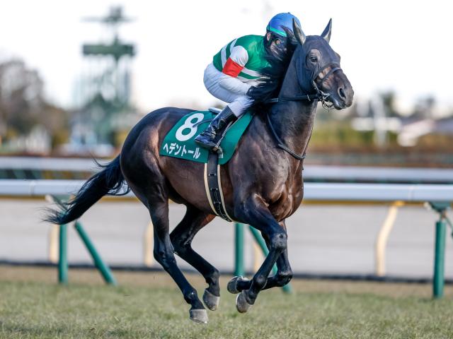【有力馬動向】レーン騎乗で春盾参戦のヘデントール「ここからいい変化をしてくれれば」/馬三郎のつぶやき