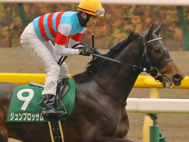 エスコーラ 優勝実使用ゼッケン 川田将雅 直筆サイン入り 日本