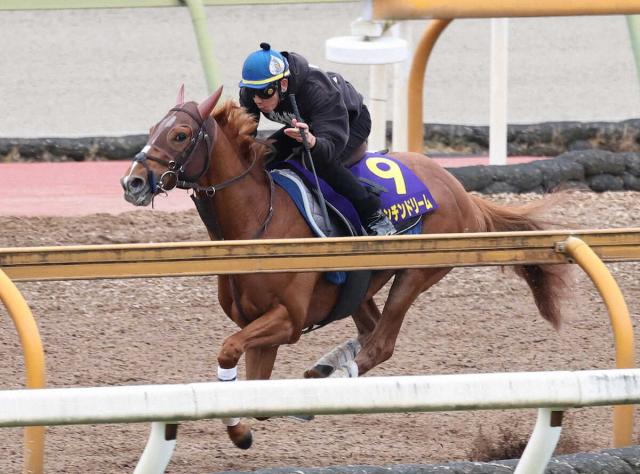 【天皇賞・春1週前追い】ビザンチンドリーム　バランスが良化　坂口師「心肺機能がいい馬」