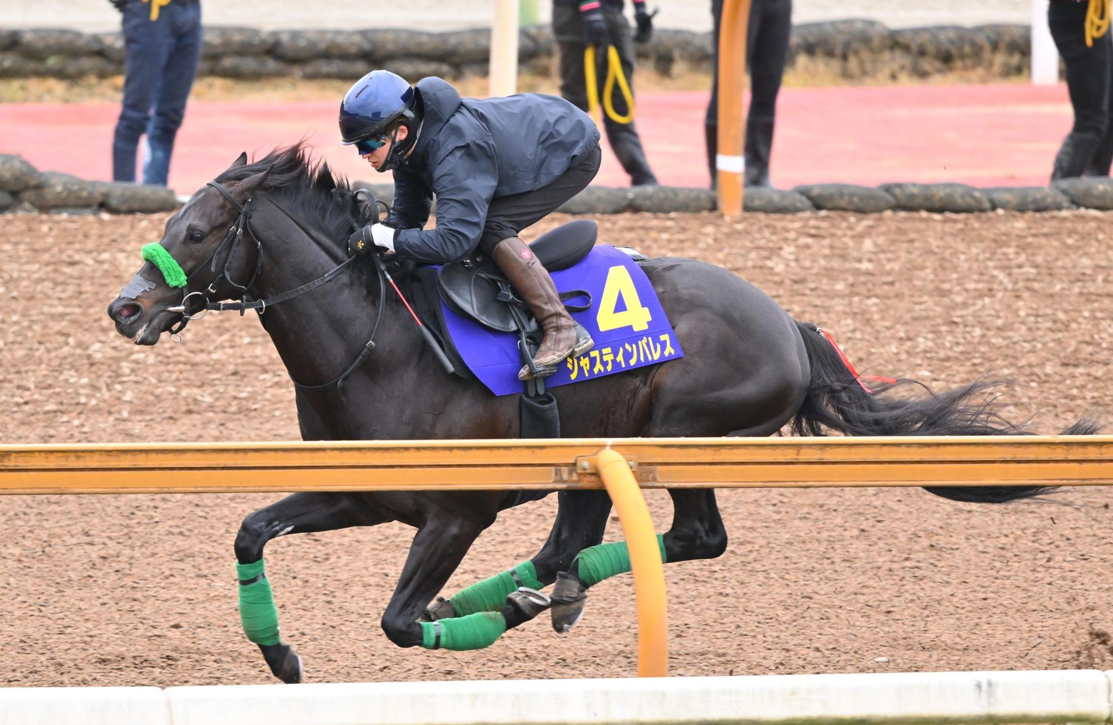 有馬記念レース後コメント】イクイノックス C.ルメール騎手ら