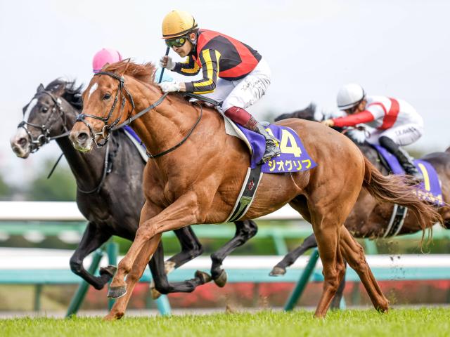 ジオグリフに右第3中手骨々折が判明 6カ月以上の休養を要す見込み