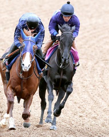 【フローラS】「距離はいくら延びてもいい」2戦2勝の好調馬が牝馬クラシックの切符つかみ取る