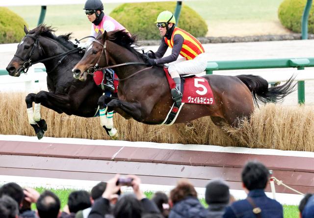 25年の阪神スプリングJを制したヴェイルネビュラが競走馬登録抹消　今後は乗馬になる予定