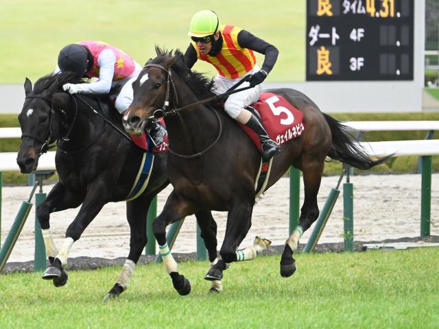 今年の阪神SJを制したヴェイルネビュラが登録抹消 今後は乗馬に