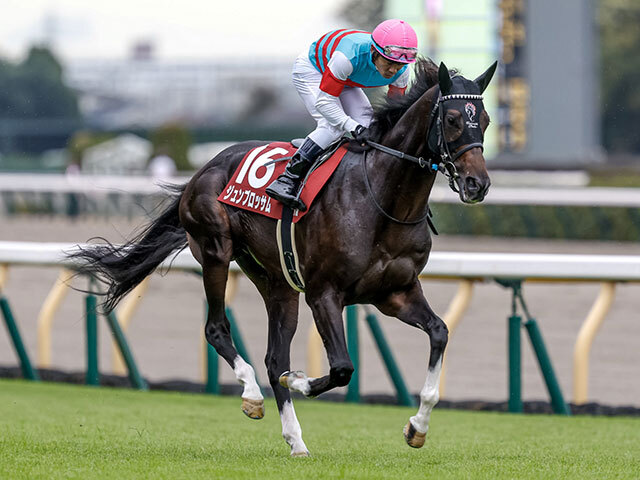 【マイラーズC・馬体重】ジュンブロッサムは482kg(+4)、セオは498kg(+2)