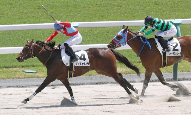 【京都6R】ゲッティヴィラがダート転向後2連勝でオープン入り