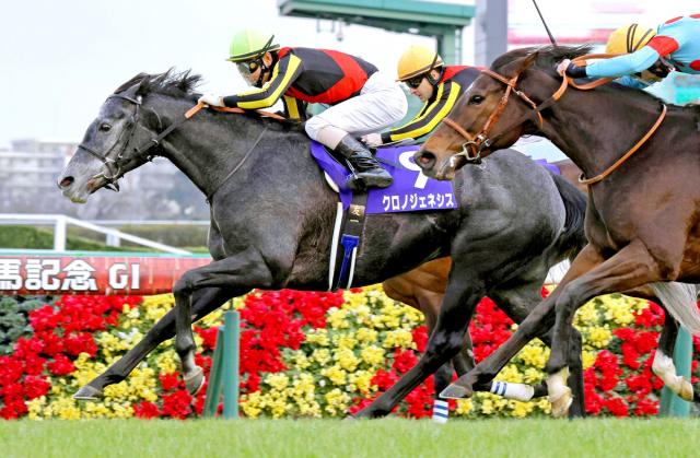クロノジェネシスが父イクイノックスの牝馬を無事出産　半兄のベレシートはすでにゲート試験をクリア