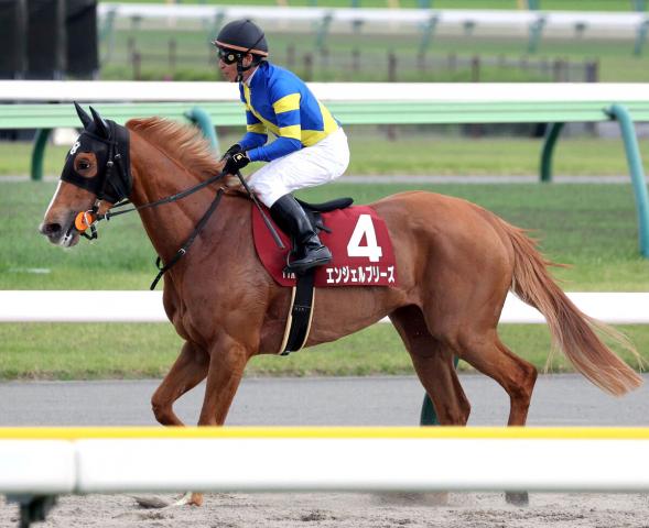 【フローラS】2戦目で重賞トライのエンジェルブリーズは14着　中舘調教師「ハッスルしすぎてしまった」