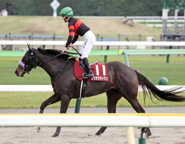 【フローラS】ホウオウタイタンは直線で伸びず12着　佐々木大輔騎手「自己条件だったら勝てる馬だと思います」