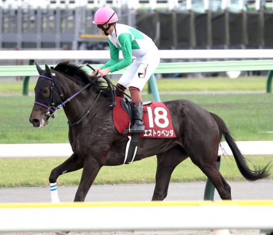 【フローラS】エストゥペンダはハナで粘るも4着　三浦皇成騎手「欲を言えば、もっと速い流れで壁をつくって…」