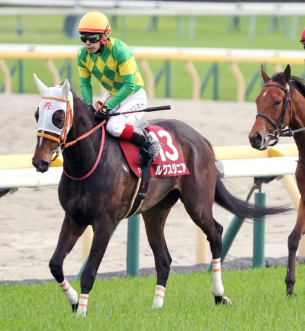 【フローラS】重賞初挑戦のルクスジニアは7着　池添謙一騎手「2000メートルは長いかも…」