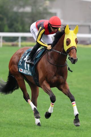 「ほんとに頼むで神様」「どうか命は」リバティアイランド競走中止のアクシデントに悲痛の声「嫌な失速の仕方」