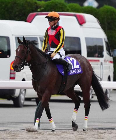 23年3冠牝馬リバティアイランド予後不良で安楽死　香港G1で悲劇…レース中に左前脚を故障
