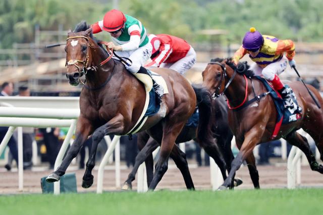 【香港チャンピオンズデー】3競走の売り上げは35億円超　昨年から約5・8億円の増加　JRA海外馬券