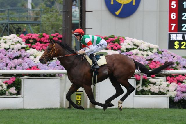 【香港QE2世C】タスティエーラ　海外G1初制覇!　レーンも喜び爆発「彼の背中にいられて光栄」