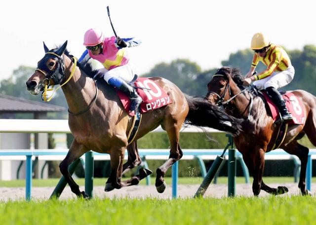 【読売マイラーズC】7歳でも衰え知らず!5番人気馬が安田記念切符　岩田康誠騎手も称賛「今が絶頂期」